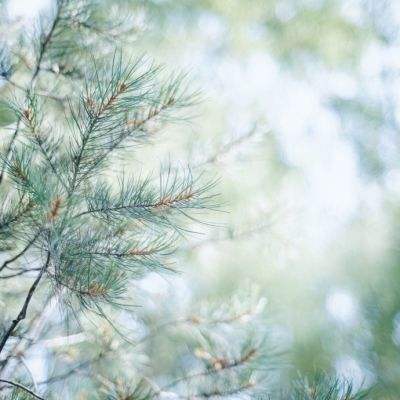 彩神lllv入口下载手机版截图