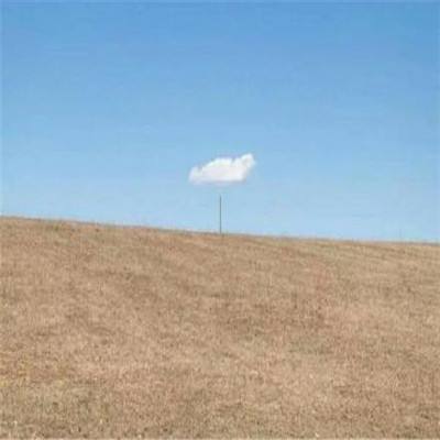 爱游戏全站APP下载手机app下载